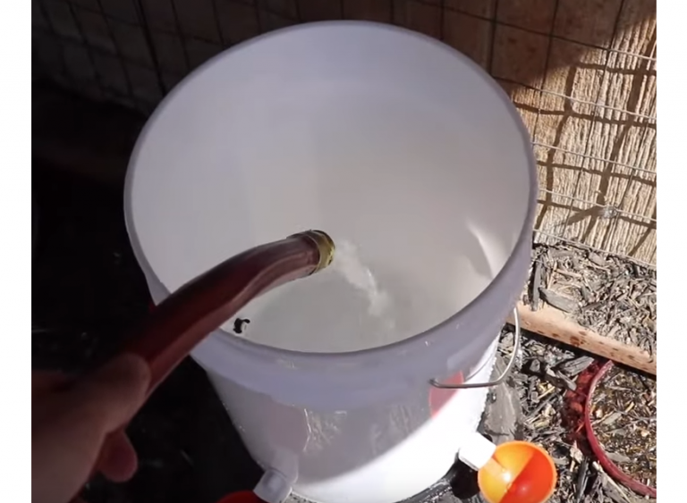 DIY Chicken Waterer Step By Step Plans - BackyardChickensHQ